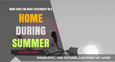 Summer Energy Hogs: Top Home Appliances Draining Your Electricity Bill
