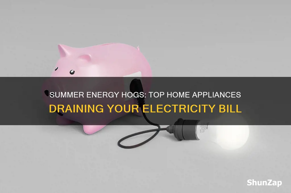 what uses the most electricity in a home during summer