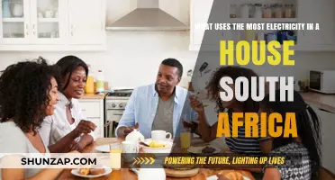 South Africa's Top Home Electricity Consumers: What Drains Your Power Most?