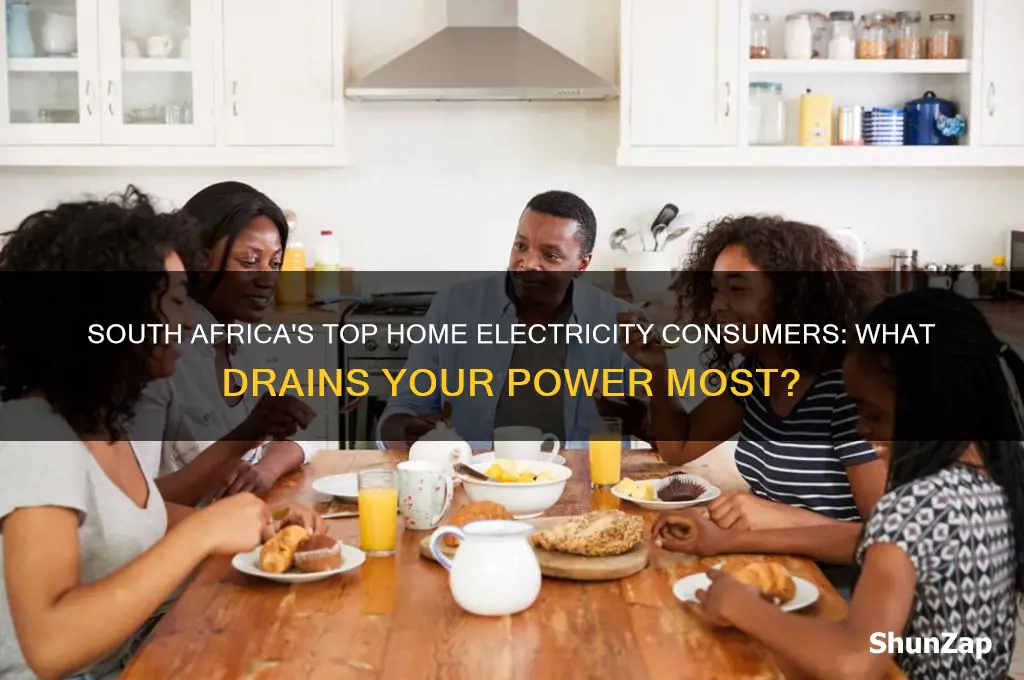 what uses the most electricity in a house south africa