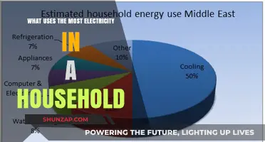 Top Household Electricity Consumers: Uncovering the Biggest Energy Drains