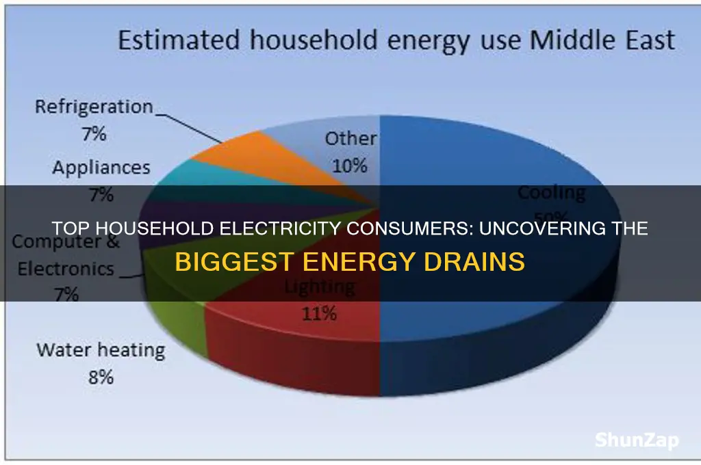 what uses the most electricity in a household