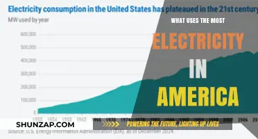 America's Top Electricity Consumers: Uncovering the Biggest Energy Drains