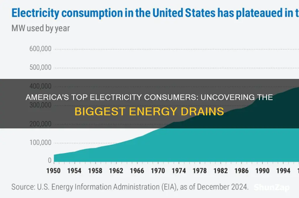 what uses the most electricity in america