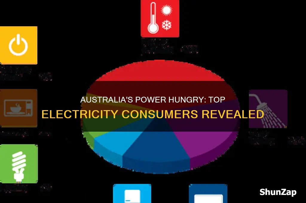 what uses the most electricity in australia