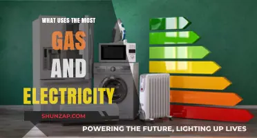 Top Energy Consumers: What Uses the Most Gas and Electricity?