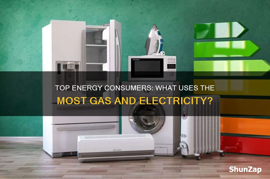 what uses the most gas and electricity