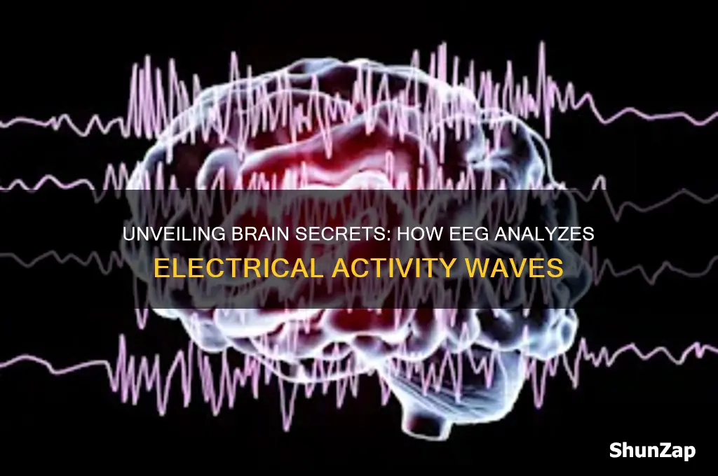 what uses waves of electrical activity to analyze the brain