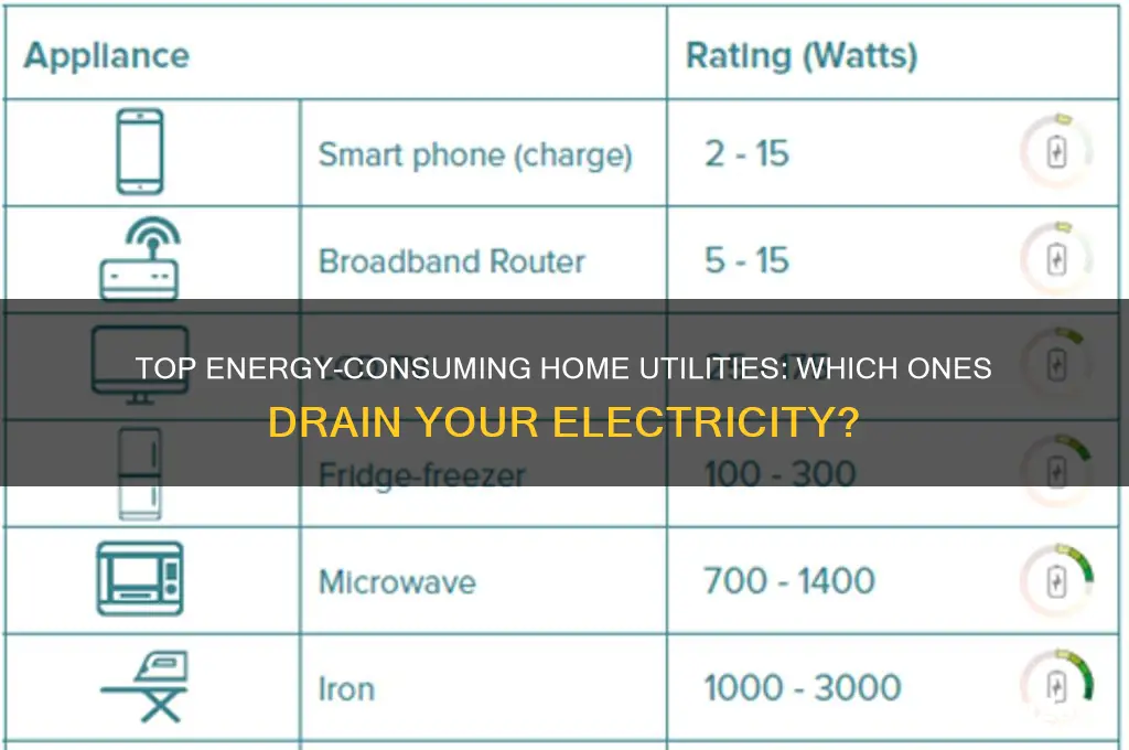 what utilities use the most electricity