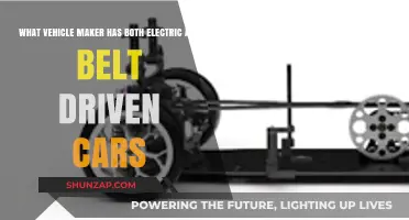 Innovative Auto Brands: Electric and Belt-Driven Vehicles in One Maker