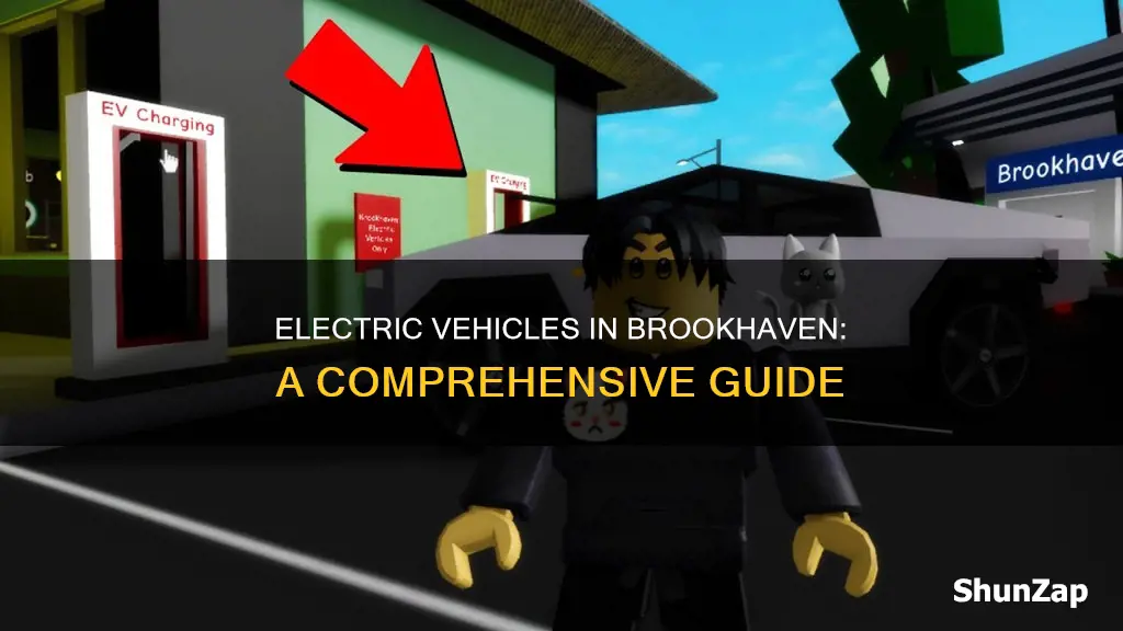 what vehicles are electric in brookhaven