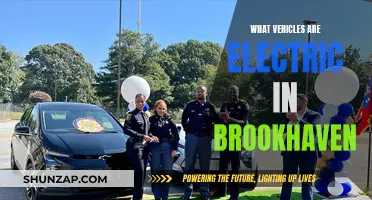 Electric Vehicles in Brookhaven: Exploring the Options
