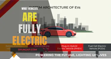 Exploring the World of Fully Electric Vehicles: A Comprehensive Guide