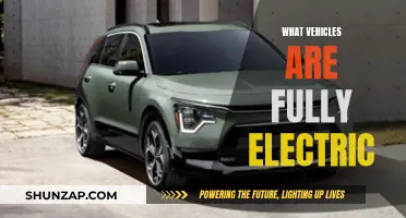The Evolution of Fully Electric Vehicles