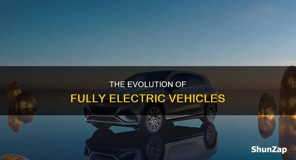 what vehicles are fully electric