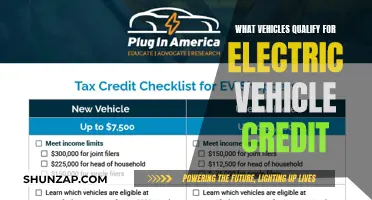 Unraveling the EV Credit Mystery: Who Qualifies?