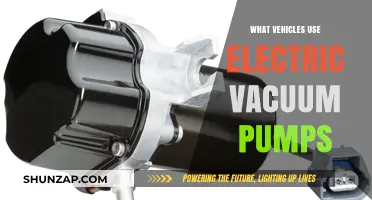 Electric Vacuum Pumps: Essential Vehicles That Rely on This Technology