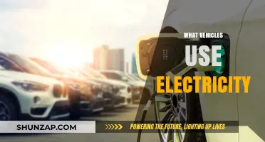Electric Vehicles: Exploring Cars, Bikes, and Buses Powered by Electricity
