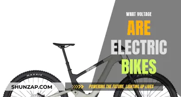 Electric Bike Voltage: Understanding the Standard Range