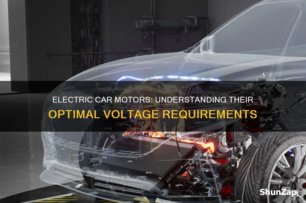 what voltage are electric car motors