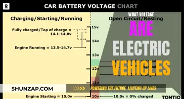 Powering the Future: Understanding EV Voltage and Its Impact