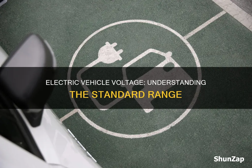 what voltage are electric vehicles