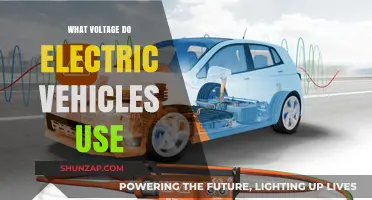 Understanding Electric Vehicle Voltage: Powering the Future of Transportation