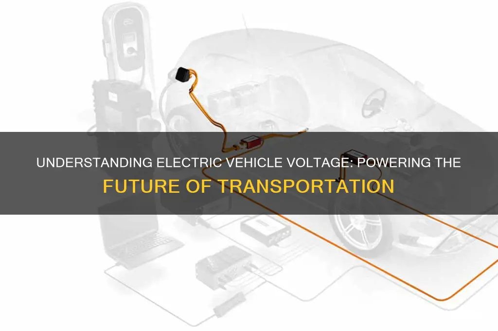what voltage do electric vehicles use