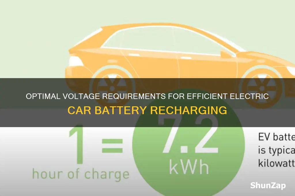 what voltage do you need to recharge an electric car