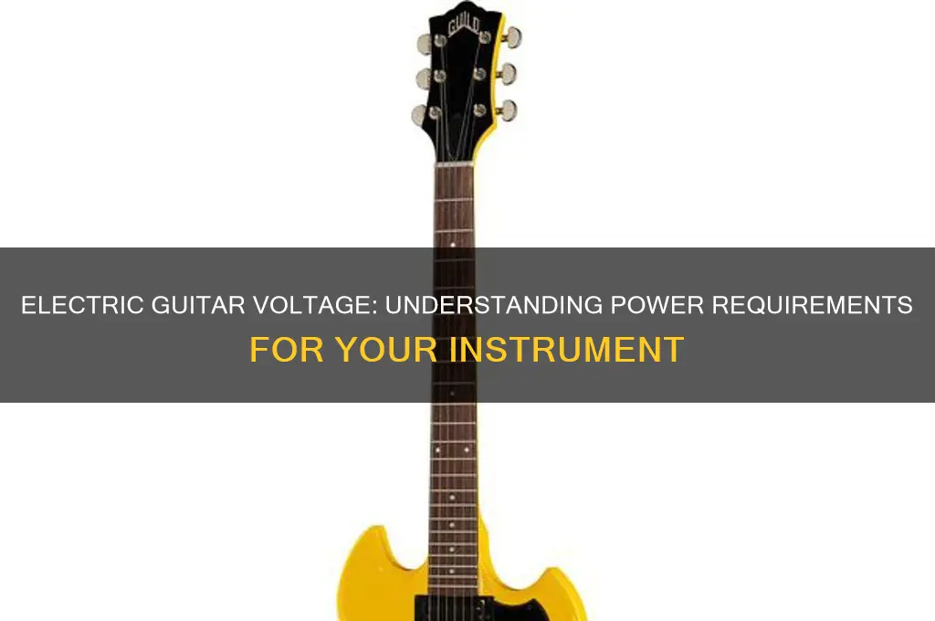 what voltage does an electric guitar use