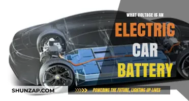Understanding Electric Car Battery Voltage: Powering the Future of Transportation