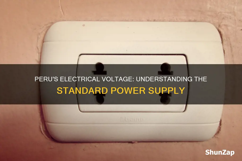 what voltage of electricity is used in peru