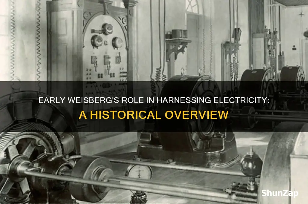 what was an early weisberg used for electricity