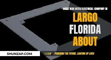Electrical Company Ditek: Largo, Florida's Legacy