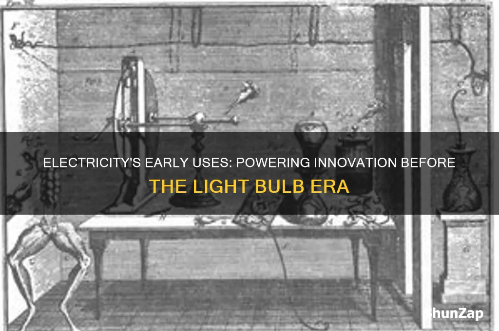 what was electricity used for before the light bulb