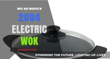 Electric Woks: Innovations Since 2004