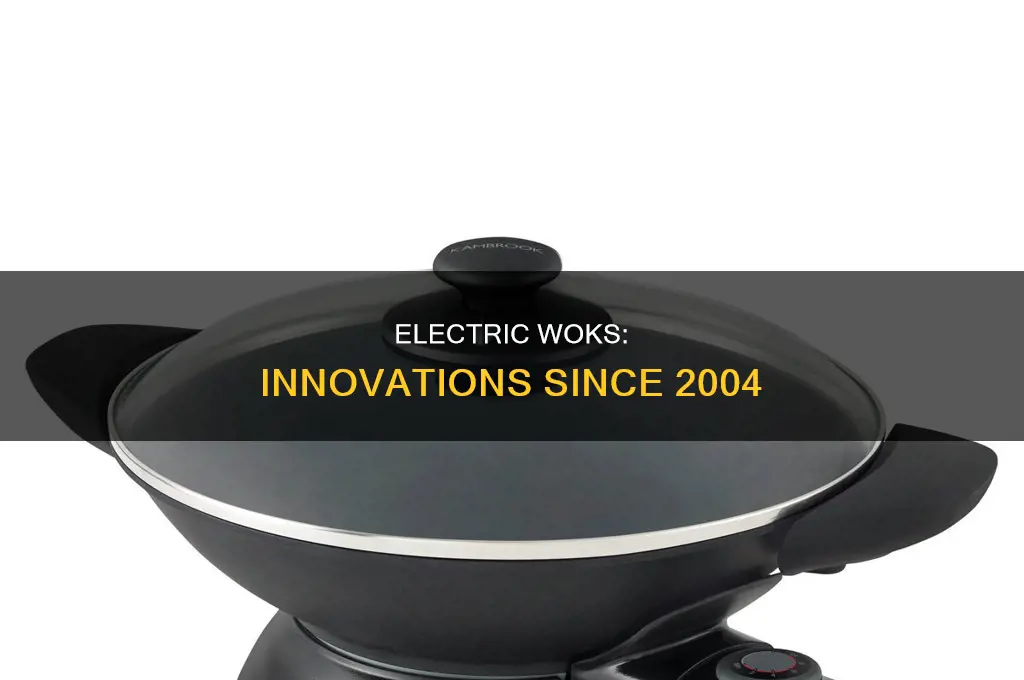 what was invented in 2004 electric wok