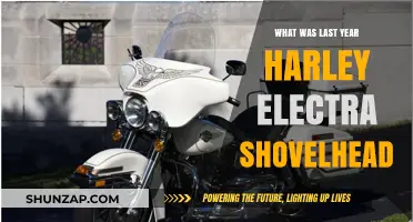 Harley Electra Shovelhead: A 2022 Retrospective