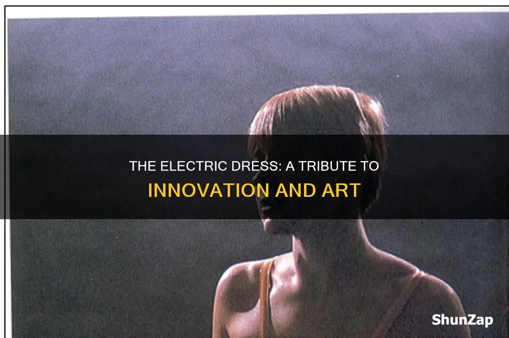 what was the electric dress inspired by