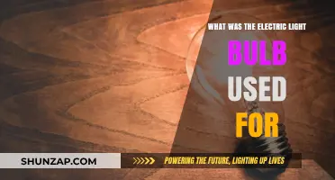 The Electric Light Bulb: Illuminating History and Practical Uses