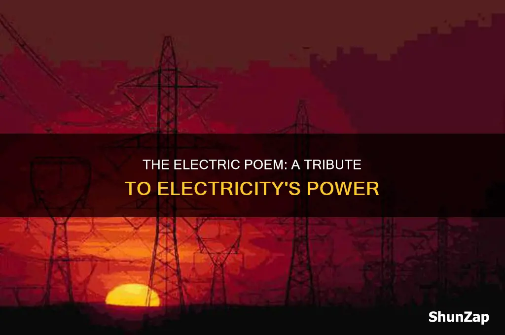 what was the electric poem written for