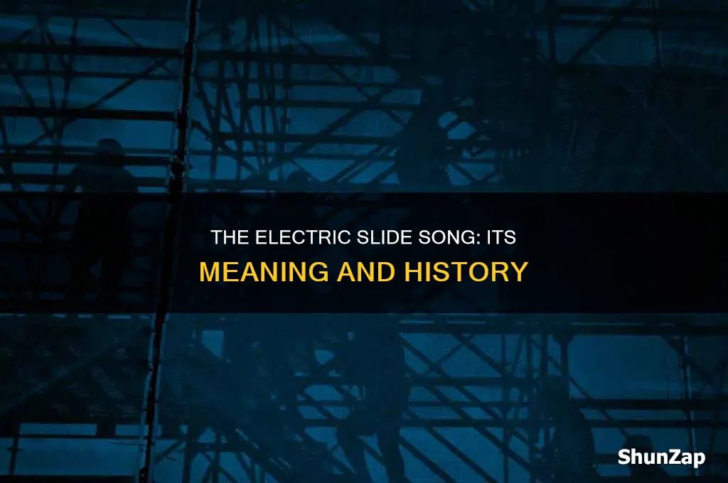 what was the electric slide song about