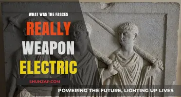 The Fascinating History of the Fasces Weapon
