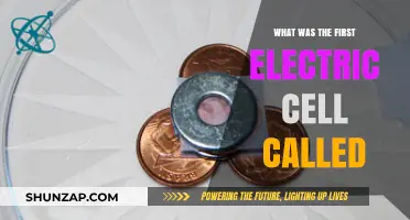 The First Electric Cell: What Was It Called?
