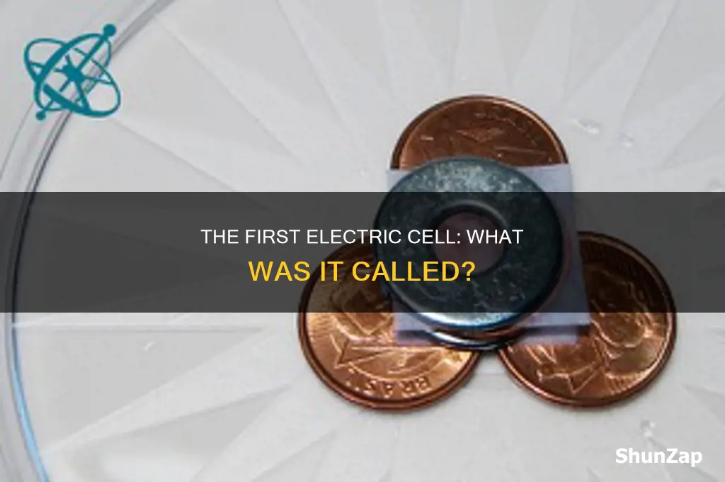 what was the first electric cell called