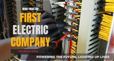 The First Spark: Pioneering the Electric Company Revolution