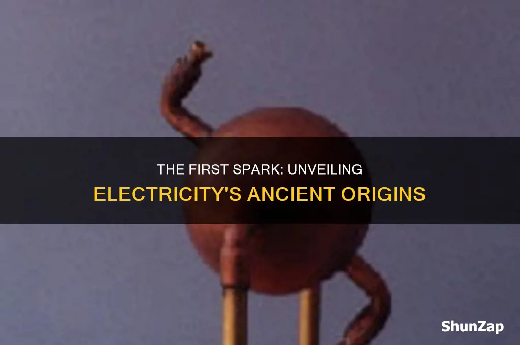 what was the first form of electricity