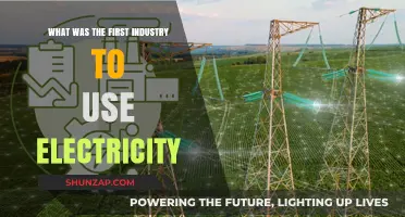 The Dawn of Electrification: Which Industry Led the Charge?