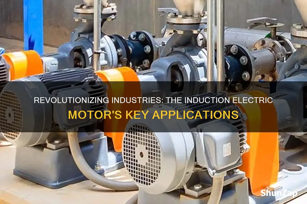 what was the induction electric motor used for