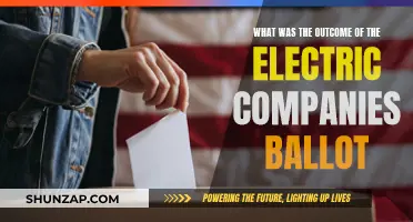 Electric Companies Ballot: Outcome and What's Next
